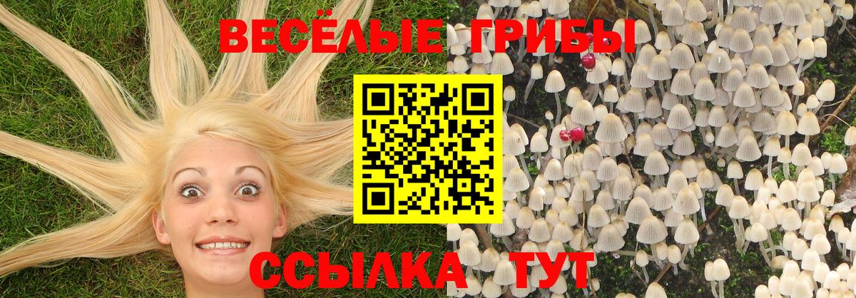 Амурск  Галлюциногенные грибы Cubensis  Галлюциногенные грибы GOLDEN TEACHER  Вход с VPN 